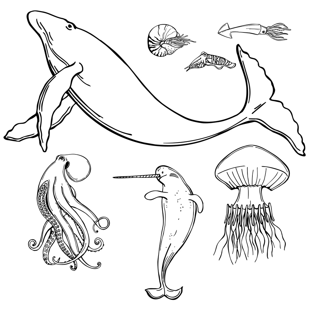 Hand drawn fish and wild marine animals on white background. Vector sketch  illustration.. Fish and wild marine animals set.