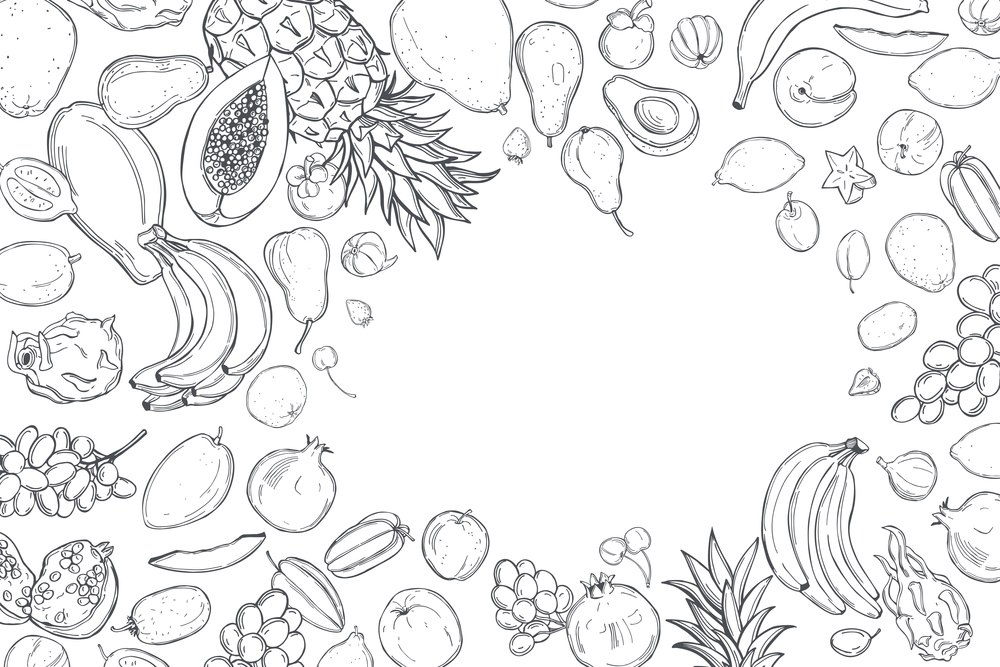 Hand drawn  fruits. Vector background. Sketch  illustration.. Graphic fruits. Vector background.