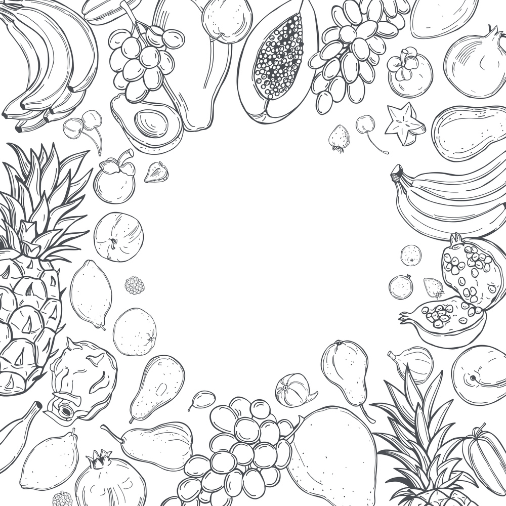 Hand drawn  fruits. Vector background. Sketch  illustration.. Graphic fruits. Vector background.