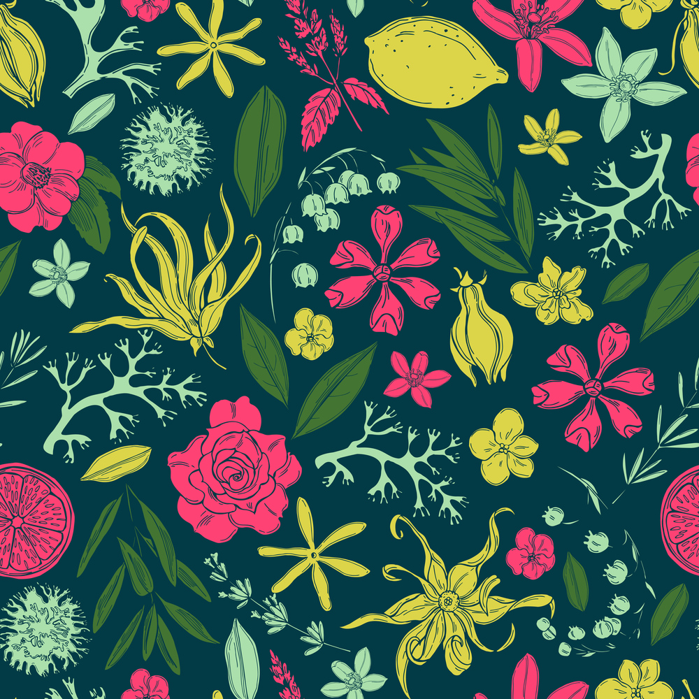 Hand drawn plants and flowers for perfumery.Vector  seamless pattern. . Plants and flowers for perfumery.Vector floral pattern.