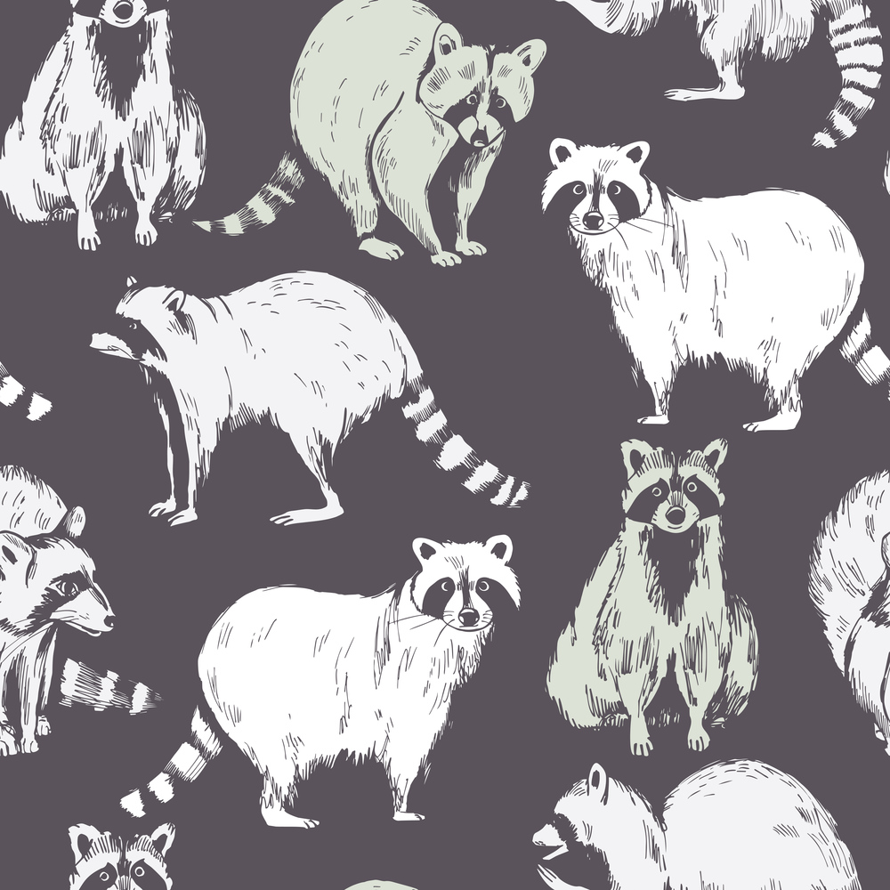 Hand drawn raccoons. Vector seamless pattern. Raccoons. Vector  pattern