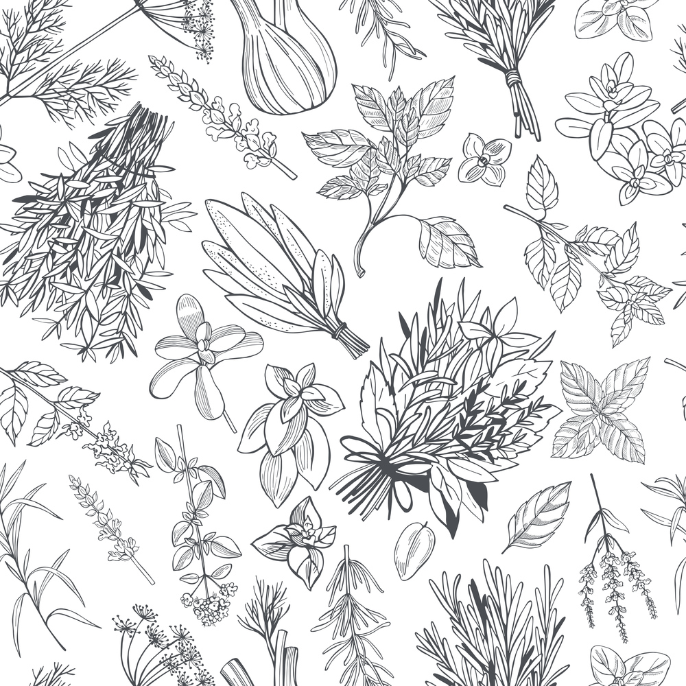 Hand drawn spicy herbs.  Vector seamless pattern.. Spicy herbs.  Vector pattern