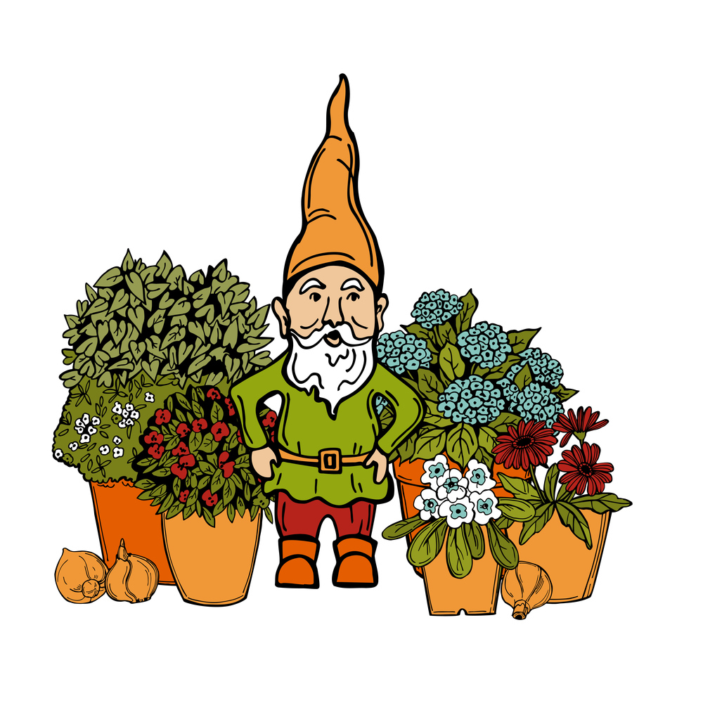 Hand drawn garden gnome   and flowers on white background.  Vector sketch  illustration.. Garden gnome   and flowers .  Vector  illustration.