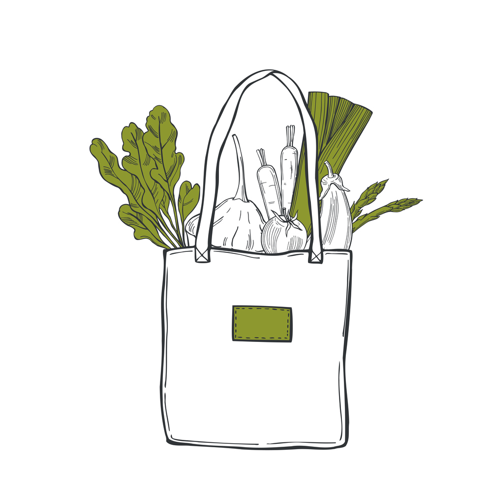 Hand drawn vegetables in   bag on white background. Vector sketch  illustration. . Vegetables in   bag. Sketch  illustration