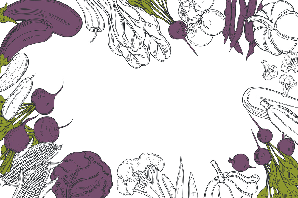 Vector background with  hand drawn vegetables. Sketch  illustration.  . Vector background with   vegetables.