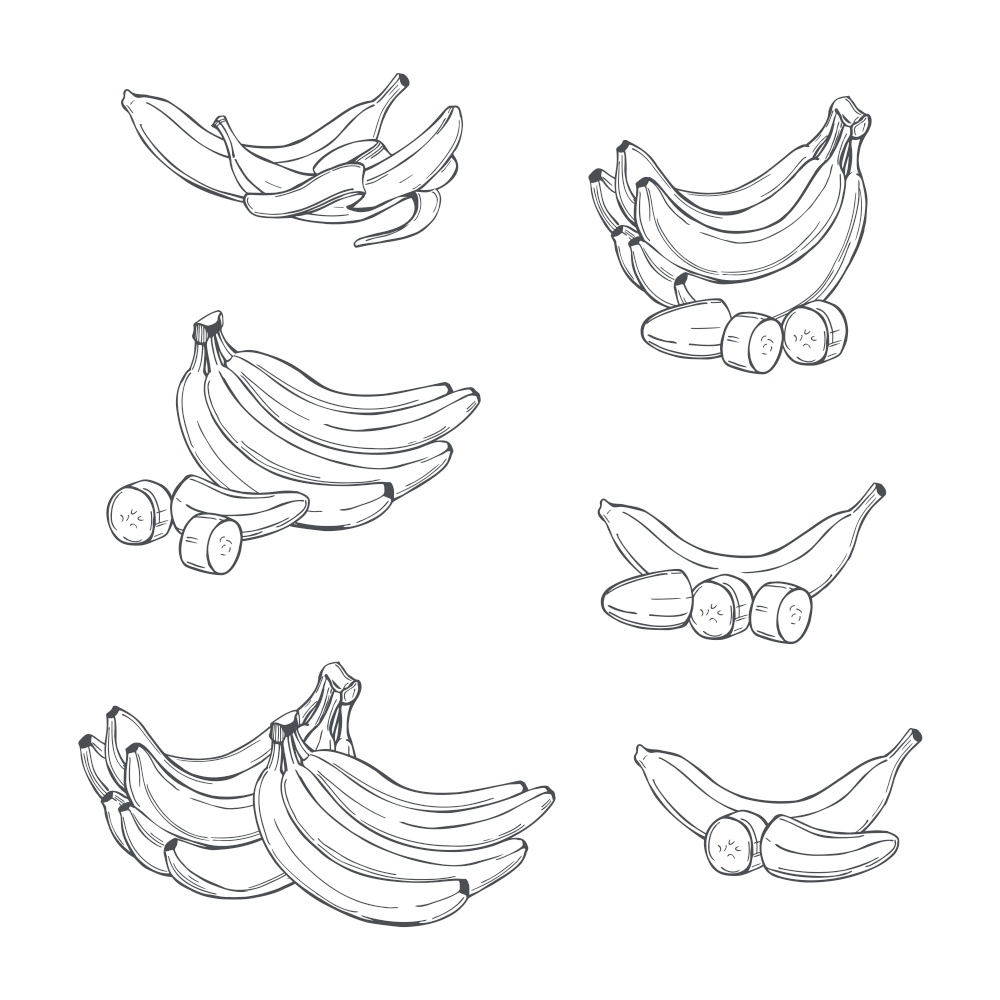 Hand drawn fruits. Bananas on white background. Vector sketch  illustration.. Bananas. Vector  illustration.