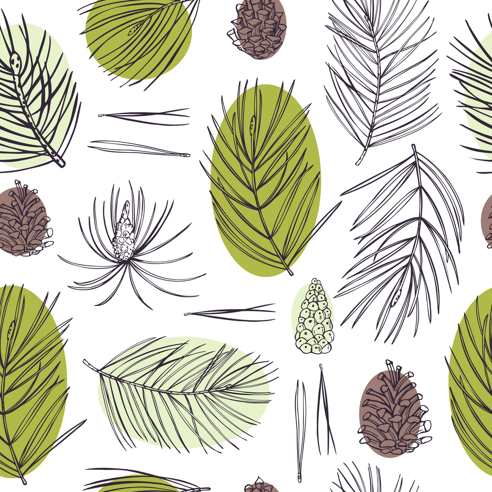 Hand drawn pine branches and cones.Vector  seamless pattern. . Pine set. Vector  pattern.
