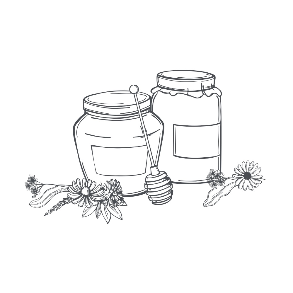 Hand drawn jars of honey. Vector sketch  illustration.. Honey set. Vector illustration.