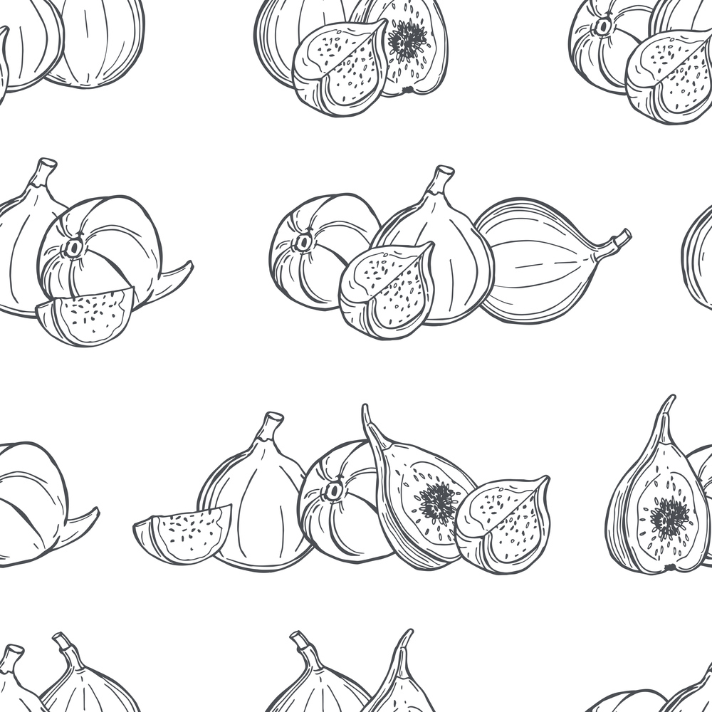 Hand drawn  figs  on white background.Vector  seamless pattern. . Figs. Vector pattern.