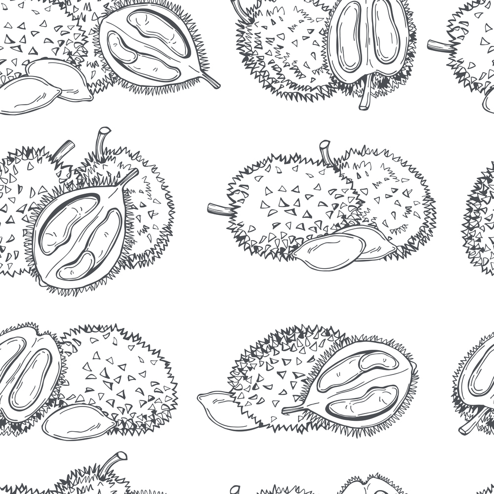 Hand drawn  durian fruit on white background.Vector  seamless pattern. . Tropical fruits. Vector  pattern
