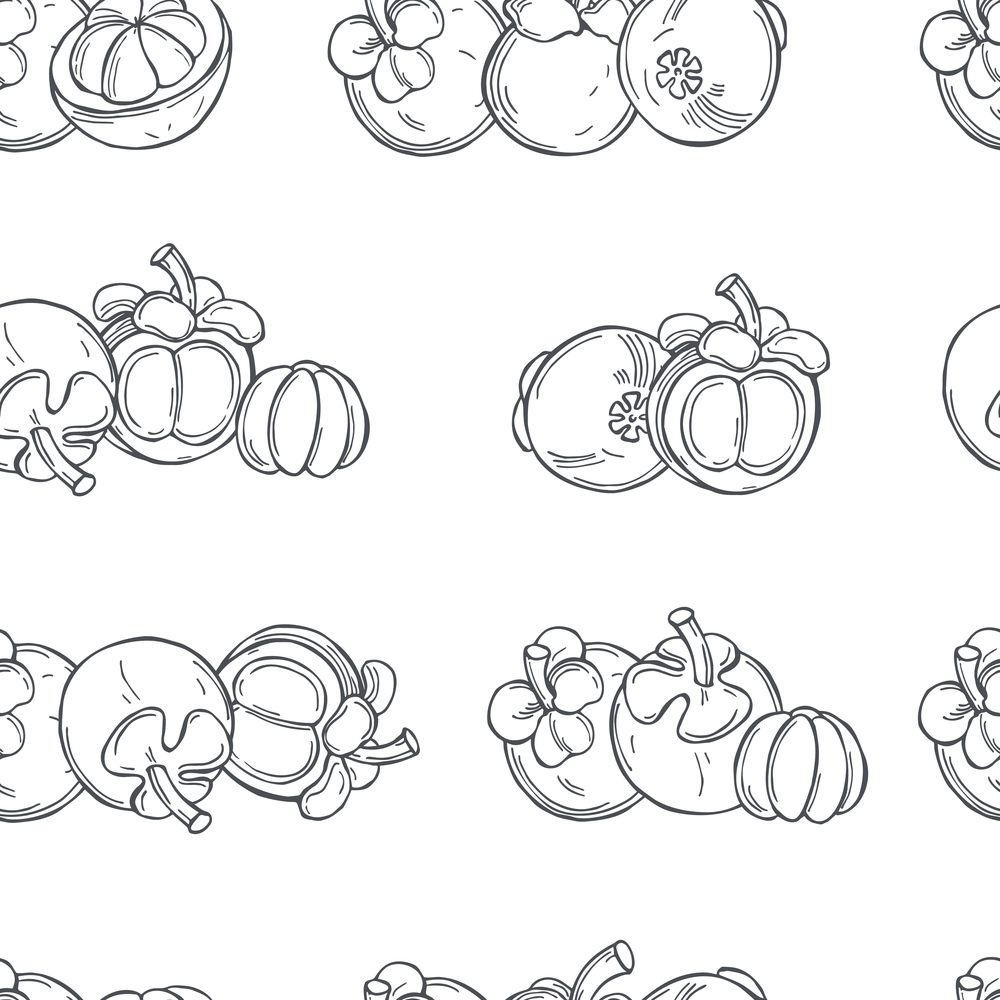 Hand drawn mangosteen on white background.Vector  seamless pattern. . Tropical fruits. Vector  pattern.