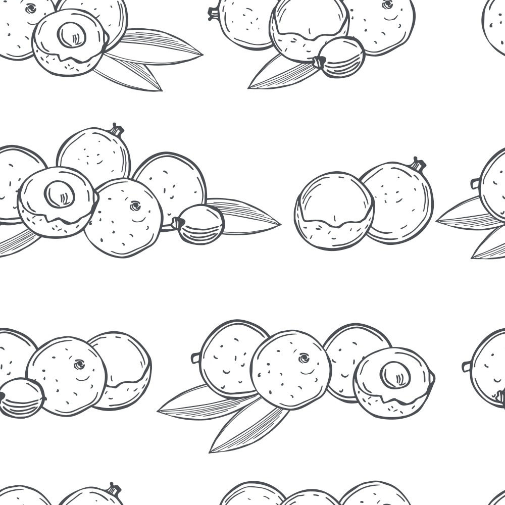 Hand drawn  longan fruits  on white background.Vector  seamless pattern. . Tropical fruits. Vector  pattern