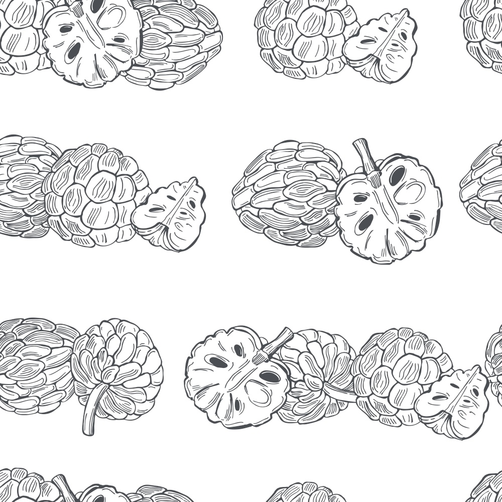 Hand drawn  Custard apple or Sugar apple  on white background.Vector  seamless pattern. . Tropical fruits. Vector  pattern