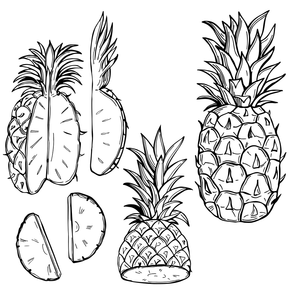 Hand drawn pineapple. Vector sketch illustration. Pineapple. Vector  illustration