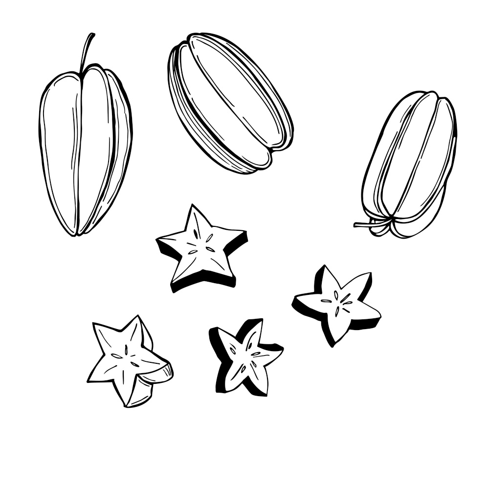 Hand drawn carambola or star apple fruit. Vector sketch  illustration.. Tropical fruits. Vector  illustration