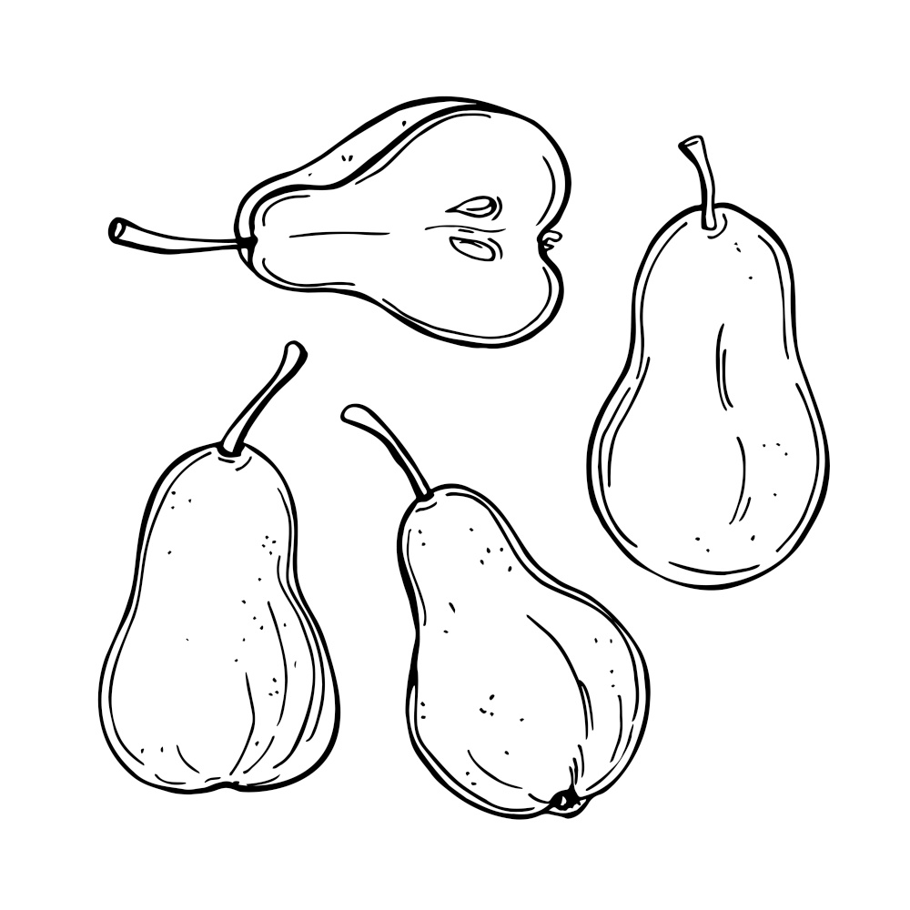 Hand drawn pears on white background. Vector sketch  illustration.. Hand drawn pears. Vector  illustration.