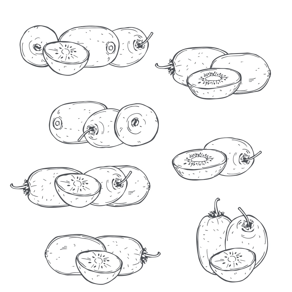 Hand drawn  kiwi fruits on white background.Vector sketch  illustration.. Tropical fruits. Vector  illustration
