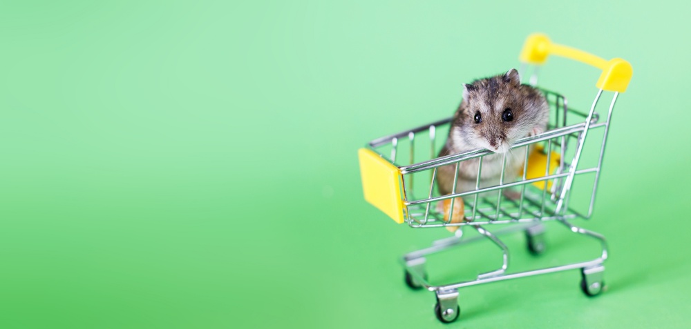 Funny Djungarian hamster sits in children&rsquo;s empty shopping cart on a green background. Funny pet is having fun. banner. Funny Djungarian hamster sits in children&rsquo;s empty shopping cart on green background. Funny pet is having fun. banner
