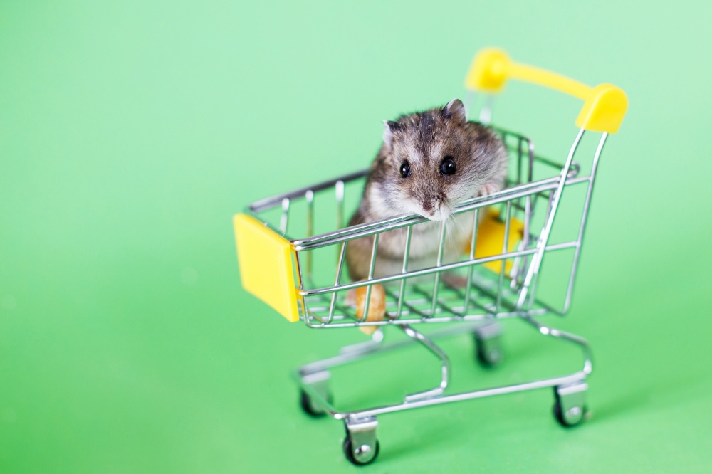 Funny Djungarian hamster sits in children&rsquo;s empty shopping cart on a green background. Funny pet is having fun. Funny Djungarian hamster sits in children&rsquo;s empty shopping cart on green background. Funny pet is having fun