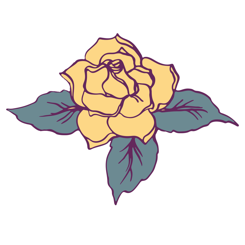 Rose flower illustration hand drawn vector isolated. Rose flower illustration hand drawn vector