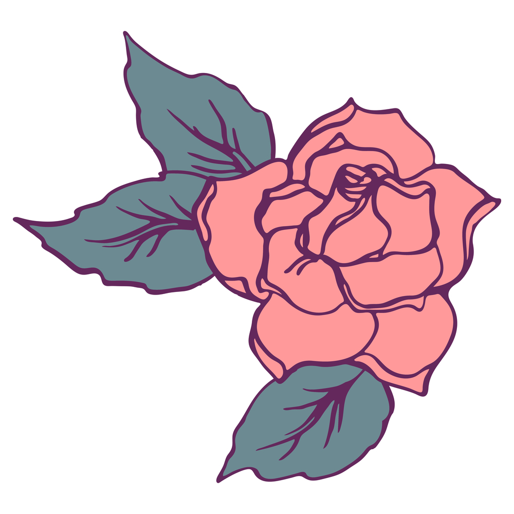 Rose flower illustration hand drawn vector isolated.. Rose flower illustration hand drawn vector