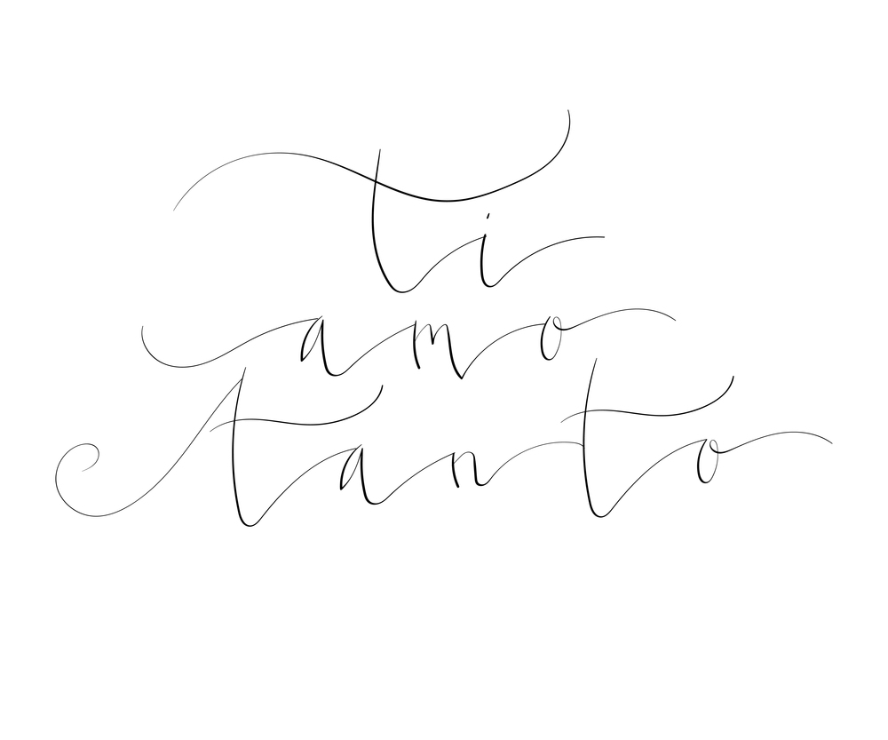 Ti amo tanto - I love you very much in Italian handwritten lettering vector illustration in script. Ti amo tanto - I love you very much in Italian handwritten lettering vector illustration