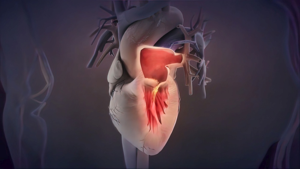 Heart valve The valves keep blood moving through the heart in the right direction 3D illustration. Heart valve The valves keep blood moving through the heart in the right direction