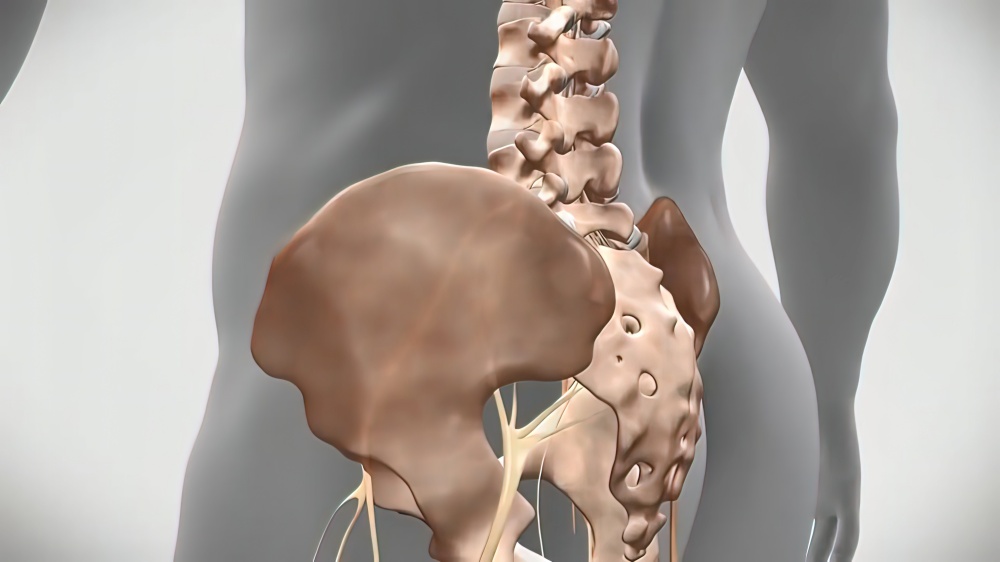 3D Medical 3D illustration of transparent man on white background. Left lower lower back nerve problem. Left lower lower back nerve problem. 3D Medical 3D illustration