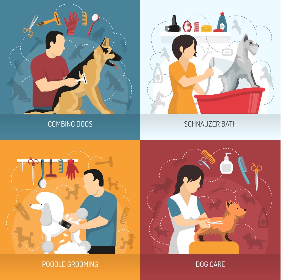 Grooming service design concept with view of hairdresser combing and bathing dogs of different breed with icons vector illustration. Dog Care Design Concept