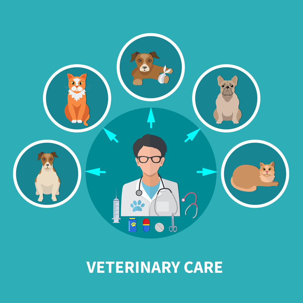 Veterinary care flat round icons composition background poster with veterinarian doctor center surrounded by pets vector illustration . Veterinary Care Flat Poster