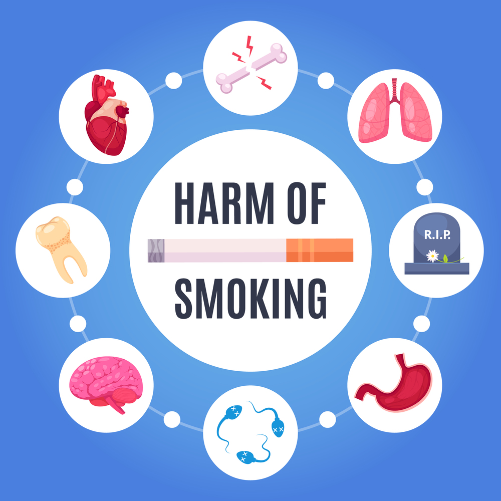 Harm of smoking round design concept with  human organs sensitive to disease from nicotine cartoon vector illustration   . Harm Of Smoking Design Concept