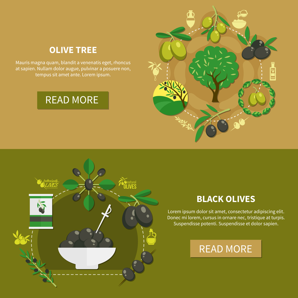 Set of horizontal banners with black olives and tree with green fruits isolated vector illustration. Olive Tree Horizontal Banners
