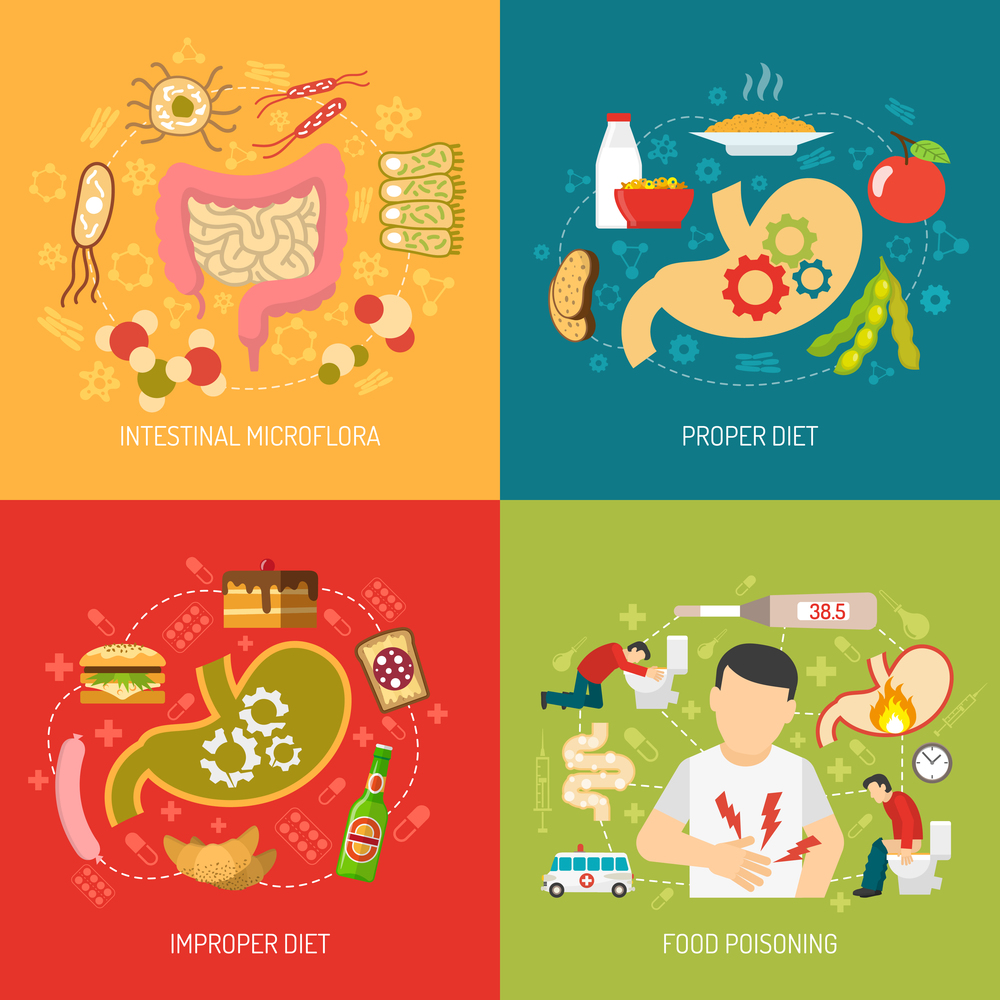 Digestion concept icons set with intestinal microflora and proper diet symbols flat isolated vector illustration .  Digestion Concept Icons Set