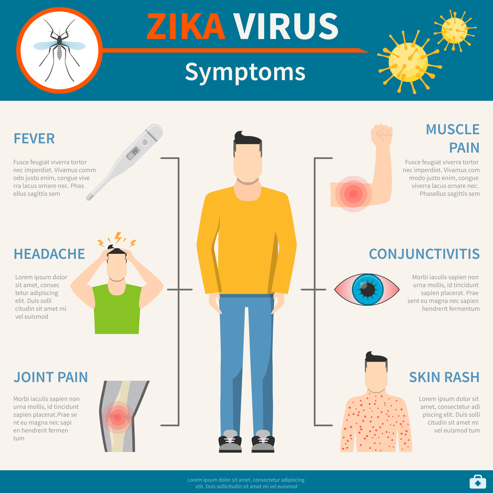 Zika Symptoms Set. Zika Virus Poster. Zika Flat Illustration. Zika Virus Vector. Zika Virus Information. Zika Virus Warning.. Zika Virus Symptoms Set