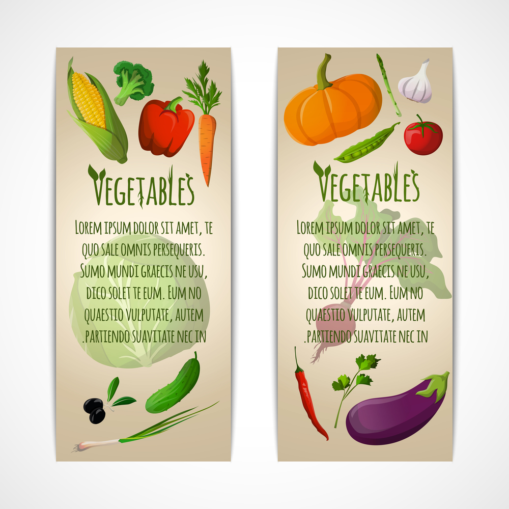 Food vegetables doodle vertical banners set of corn pepper broccoli carrot olive vector illustration