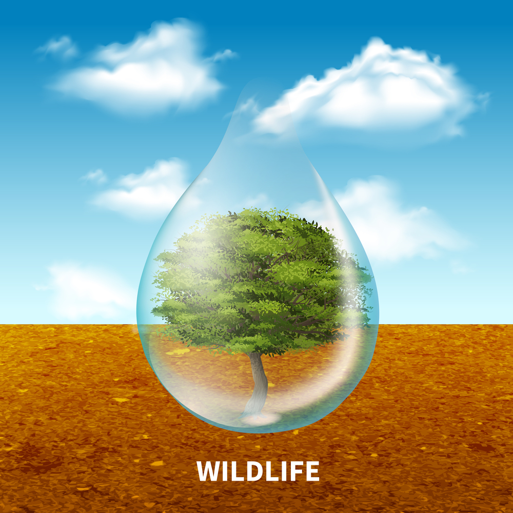 Wildlife advertising poster with green tree  inside giant water drop on rustic landscape  background realistic vector illustration. Wildlife Advertising Poster