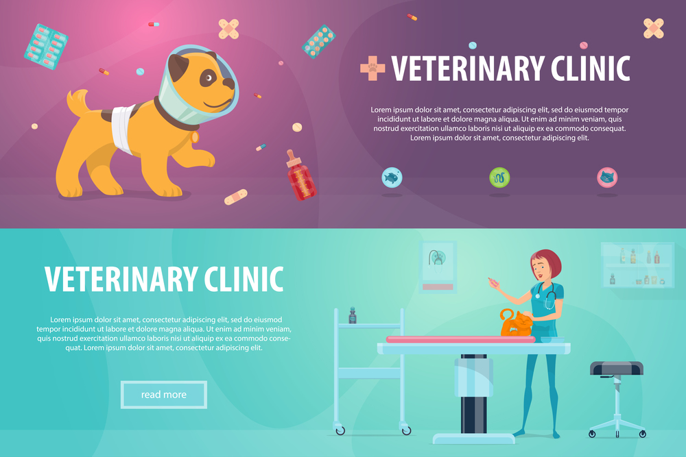 Veterinary clinic horizontal banners with sick puppy animal food pills and doctor treating cat at hospital vector illustration. Veterinary Clinic Horizontal Banners