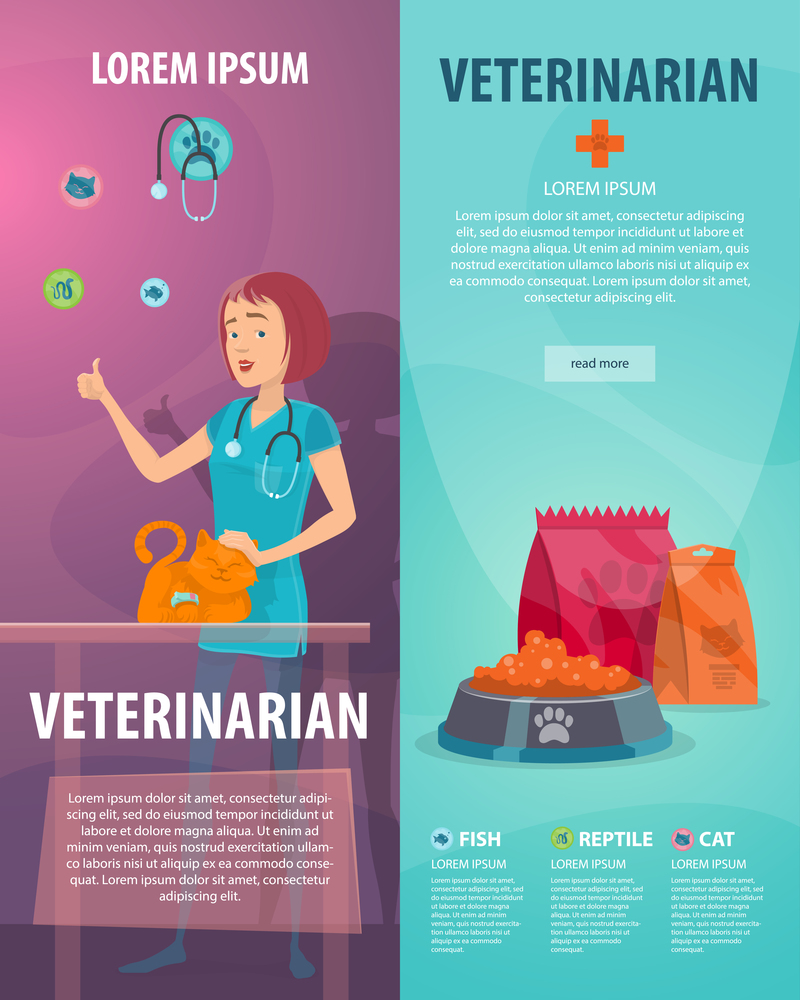 Vet clinic vertical banners with pet doctor stroking cat and animal food vector illustration  . Vet Clinic Vertical Banners
