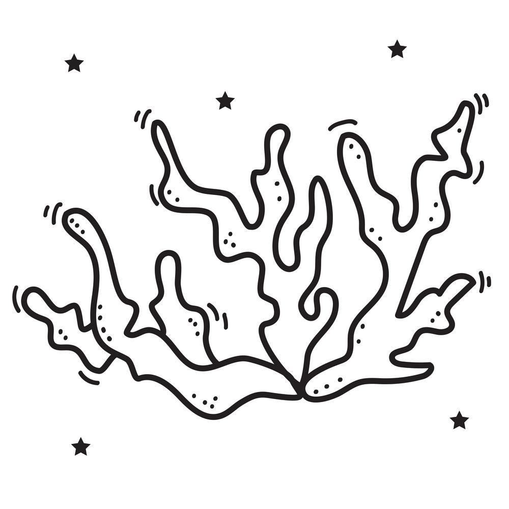 Marine underwater plant - coral. Vector. Decorative picture on a white background. Line, sketch, outline