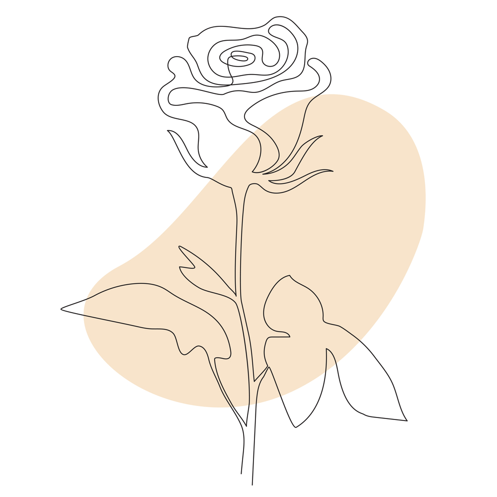 Rose Line art - Beautiful flower. Vector illustration. Continuous line drawing. Abstract minimal flower design for cover, prints, Home decor picture, decor, design, posters