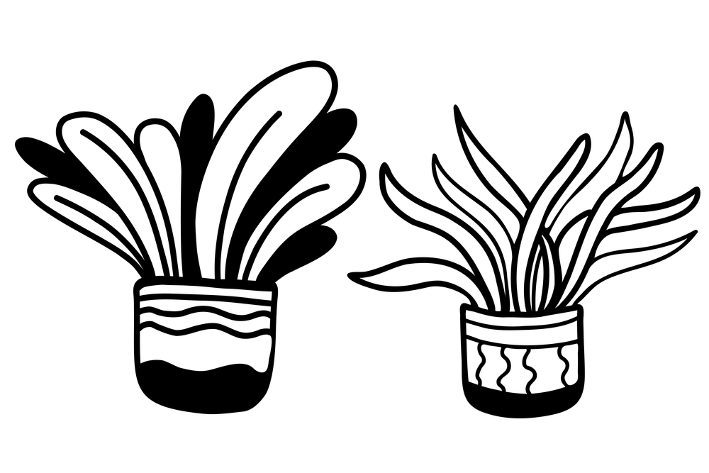 Set of hand drawn in pots illustrations, houseplants in doodle style. Vector illustration. Isolated outline graphic elements for design, decor, decoration, postcards And print