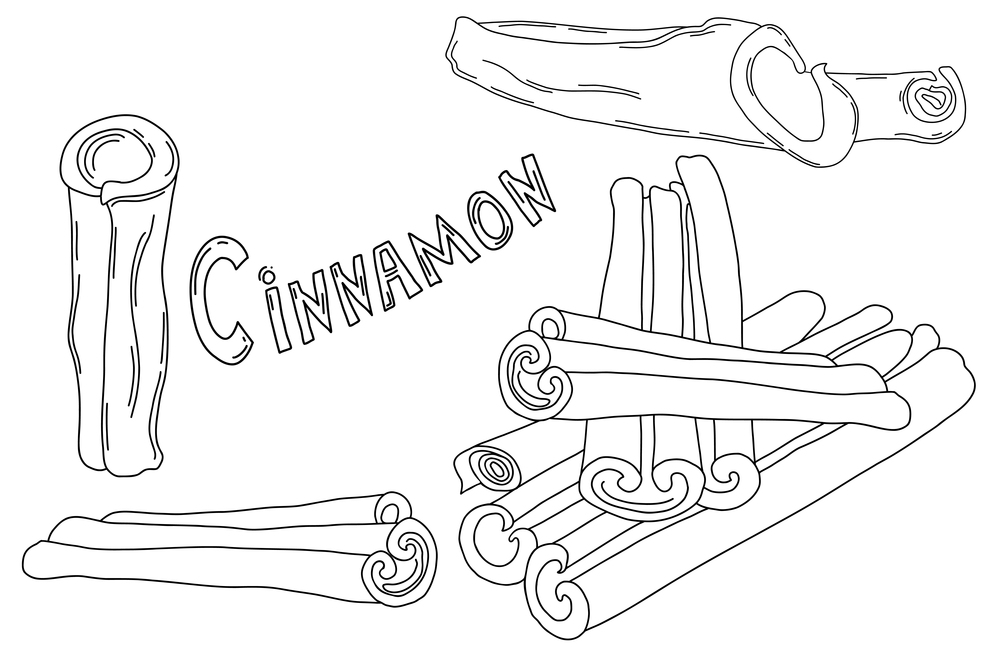 Spice collection Cinnamon sticks. Aromatic spice. Vector illustration. outline. linear hand drawing isolated elements for design, decor and culinary decoration