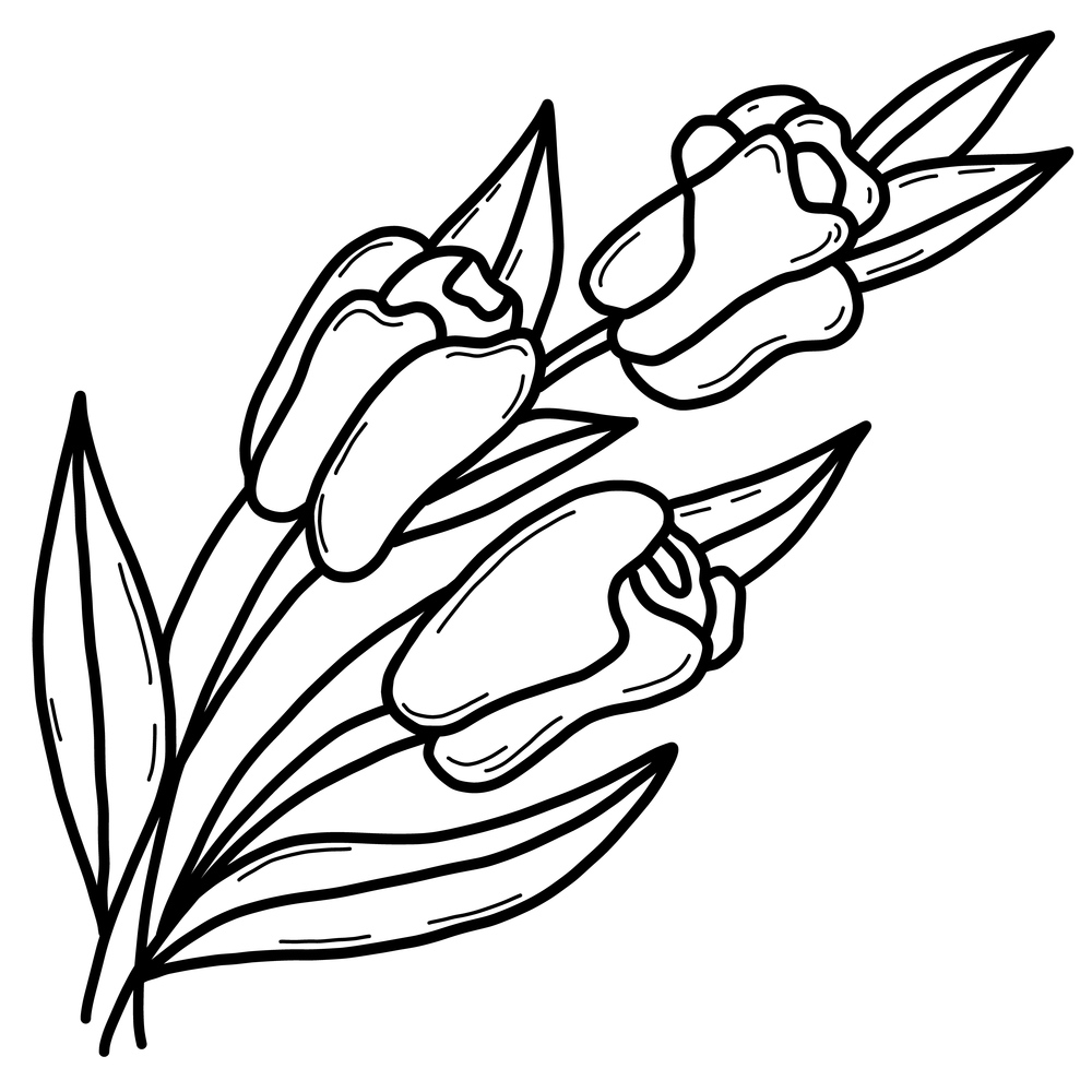Beautiful Bouquet of tulips flowers. Vector illustration. outline, Linear hand drawing