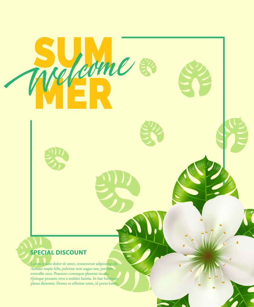 Summer, welcome lettering in frame with flower. Summer offer or sale advertising design. Handwritten and typed text, calligraphy. For leaflets, brochures, invitations, posters or banners.