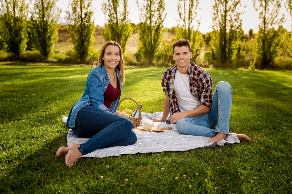 Shot of a beautiful couple on the park making a picnic