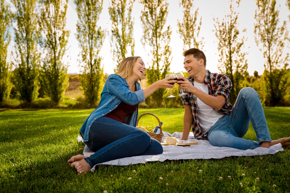Shot of a beautiful couple on a picnic and making a toast