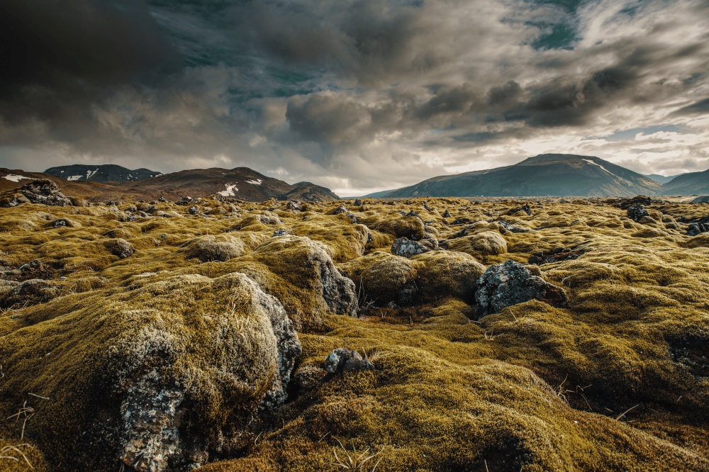 Icelandic moss cover volcanic rocks9