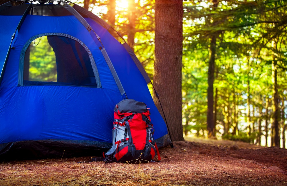 Camping in the forest, backpack near blue tent on the glade in fresh green woodland, extreme travel and tourism in the summer, active lifestyle concept