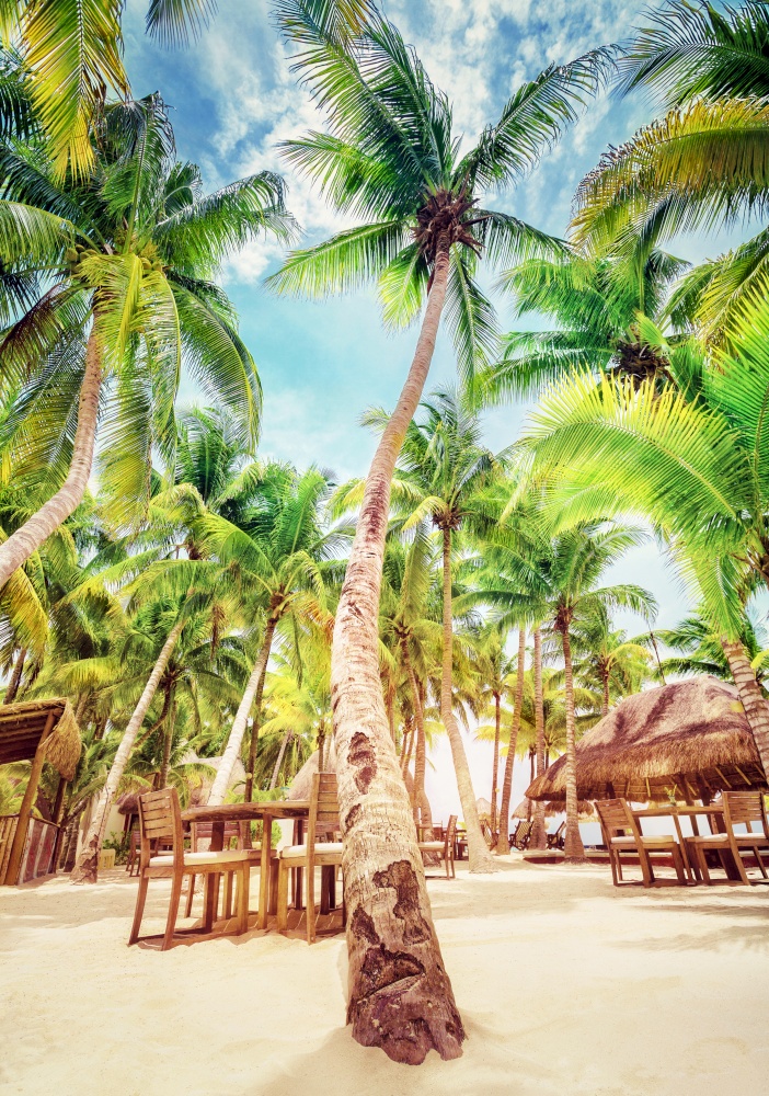 Bright sunny day on the luxury tropical beach resort, cute cozy restaurant under fresh green palms, happy summer vacation in Mexico, North America