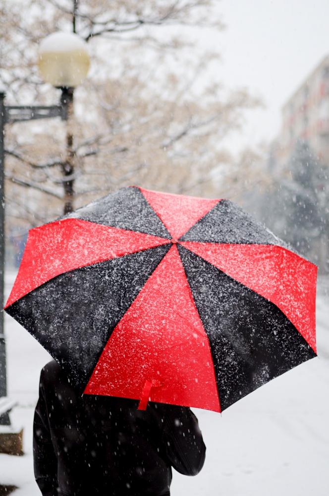 Woman holding a black and red umbrella under snow walking in a snowed street.. Woman holding a black and red umbrella under snow